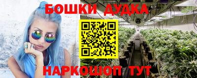 Альфа ПВП Магадан