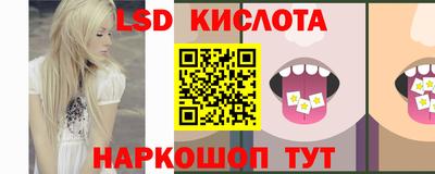 Альфа ПВП Магадан