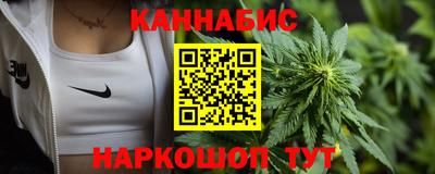 Альфа ПВП Магадан