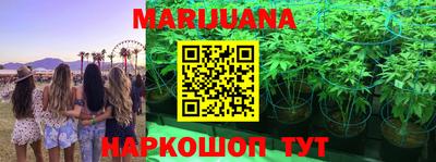 Альфа ПВП Магадан