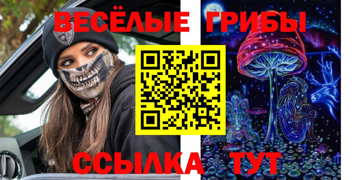 Галлюциногенные грибы Psilocybine cubensis  Вход с VPN  Красноармейск 